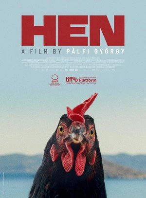 Kota aka Hen 2026 Hindi - Greek Dual Audio WEB-DL 720p - 480p - 1080p